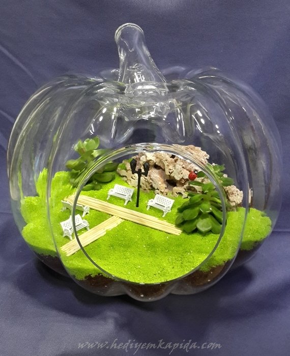 Terrarium Minyatür Bahçe Balıkesir Çiçek Çeşitleri Hızlı Teslimat
