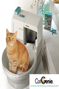 kendi kendini temizleyen kedi tuvaleti