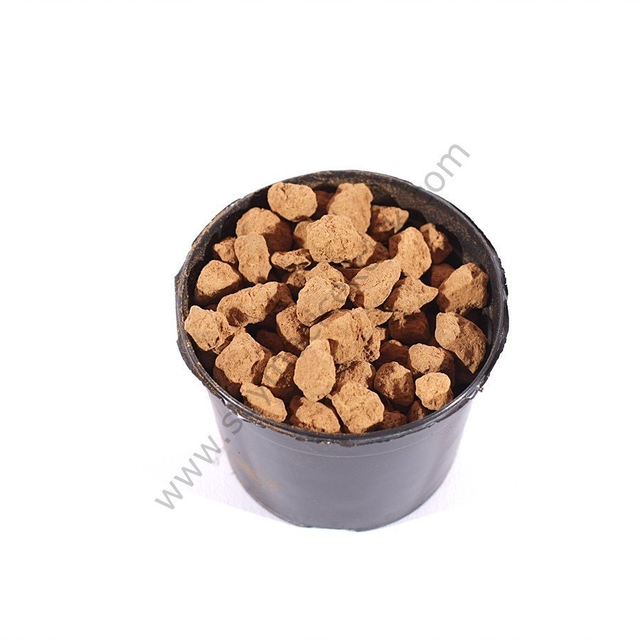 Genis Variety Volkanik Kiryu Kum Fiyat Akadama Toprak Da Mevcuttur Buy Kum Fiyat Product On Alibaba Com