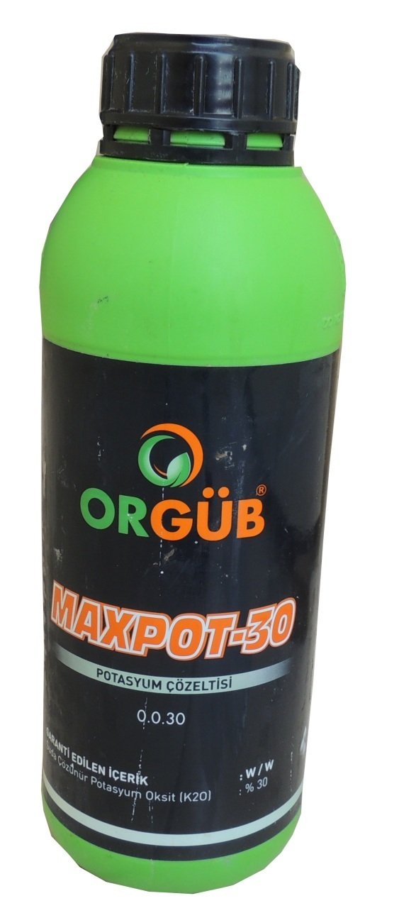 Maxpot Maxpot