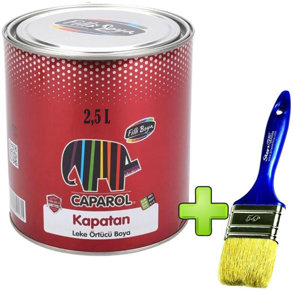 Filli Boya Caparol Kapatan Leke Örtücü Beyaz Boya Fırça Hediye