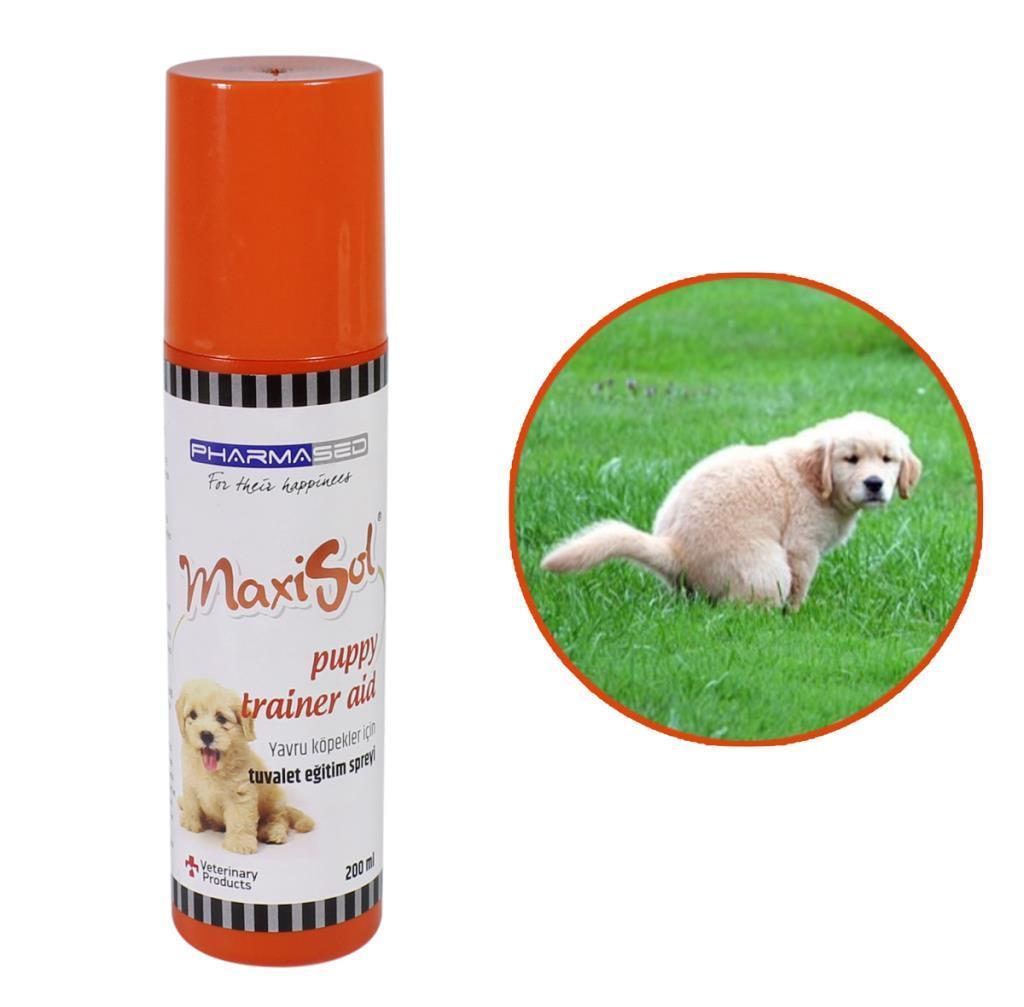 Maxisol Yavru Köpekler İçin Çiş Tuvalet Eğitim Spreyi 200 cc
