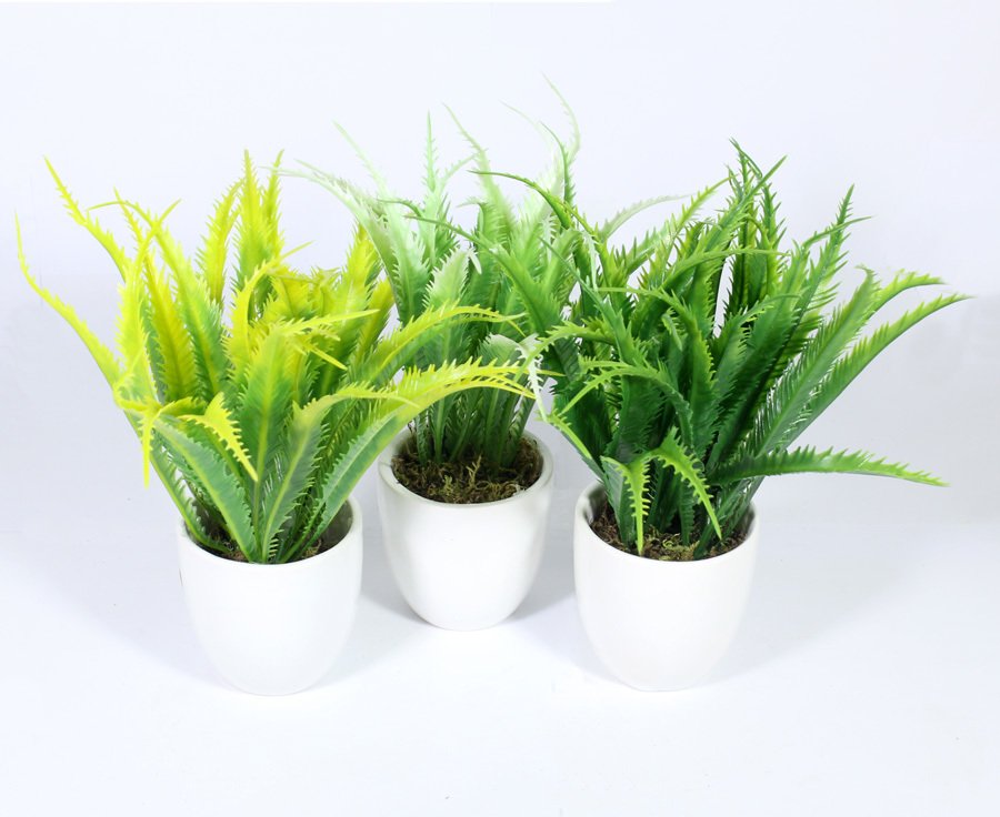 Seramik Saksıda Yapay Aloevera Çiçekleri 17 Cm 2 Renk