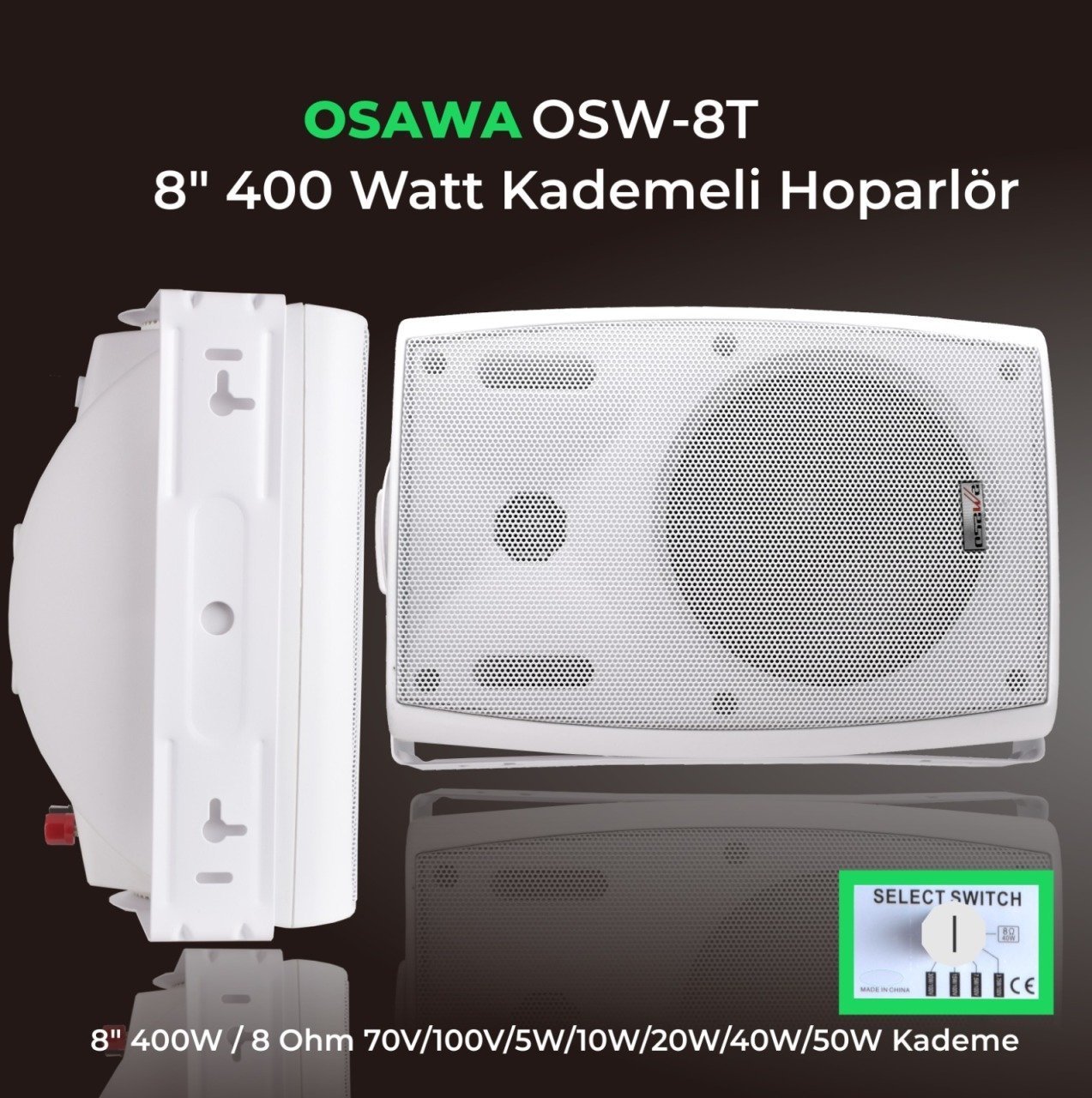Osawa OSW-8T 8'' 400 Watt Hat Trafolu Duvar Hoparlör