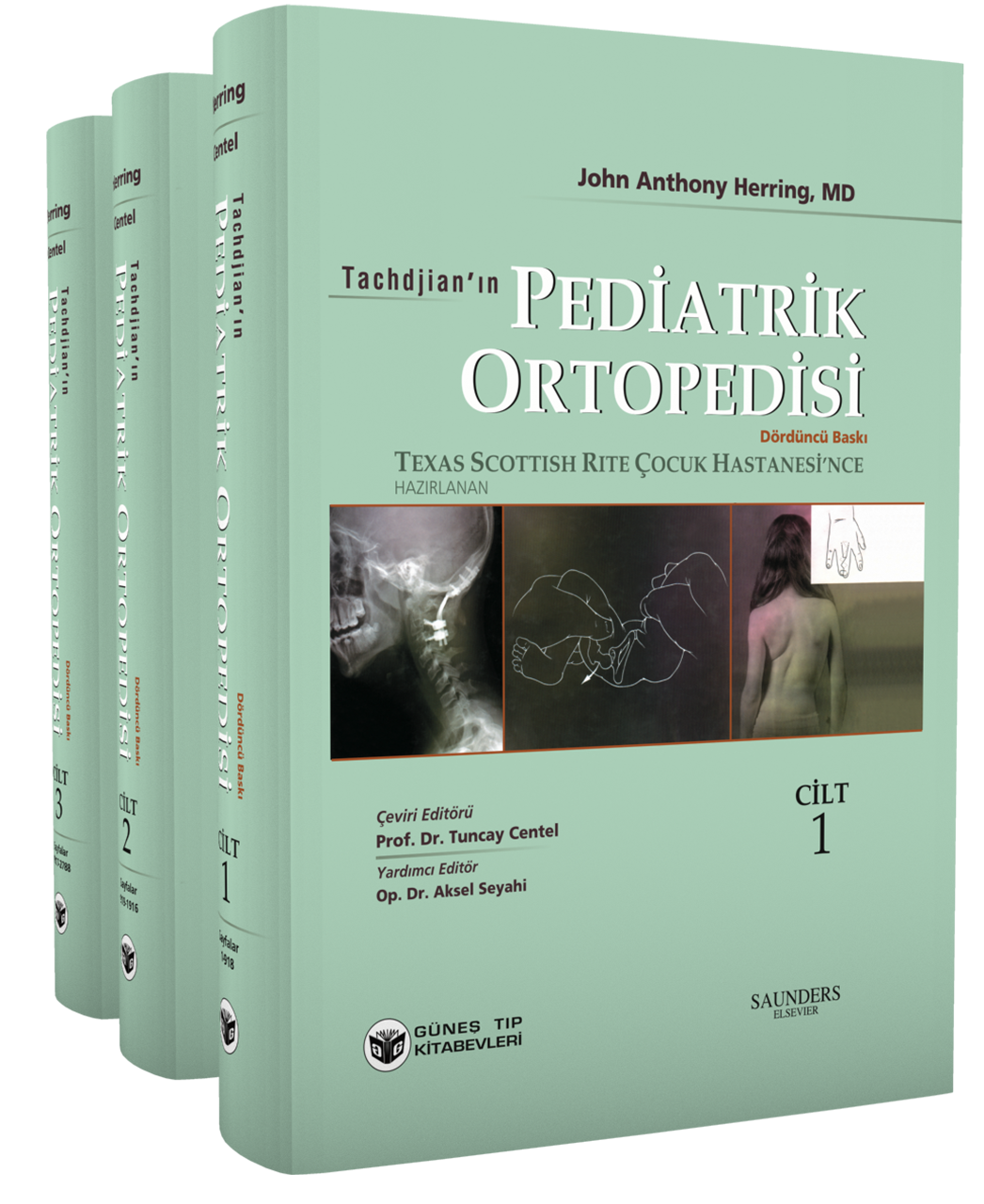 Pediatrik Fizyoterapi Rehabilitasyon