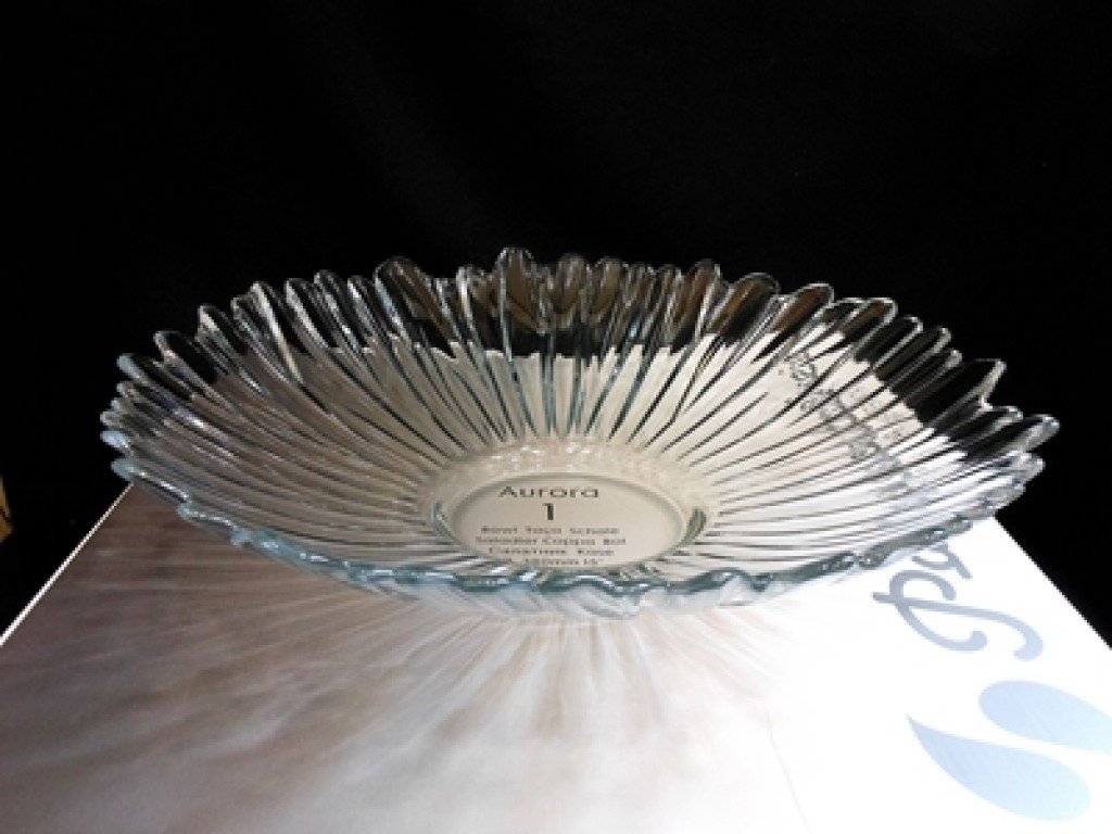 Paşabahçe 10515 Aurora Kase 38 cm l 57,50 TL l 57,50 TL l Kek Fanusu
