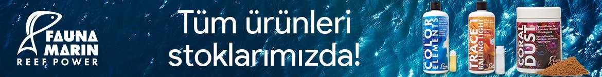 dost akvaryum deniz akvaryumu urunleri