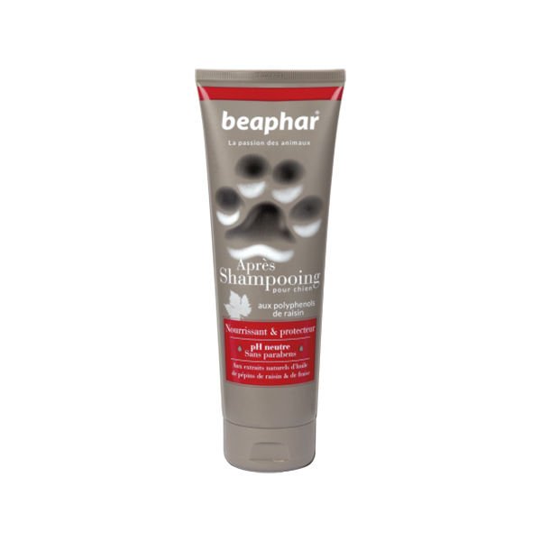 Beaphar Premium Deri Ve Tüy Sağlığı Koruyucu Köpek Şampuanı 250 ml