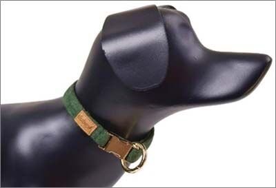 Dubex G-Dog Köpek Boyun Tasması Koyu Yeşil L-Xl 40-68 Cm 20 Mm