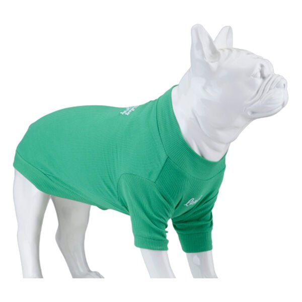 Lindo Dogs Make Today Amazing Köpek Kıyafeti Tshirt Yeşil Beden 4