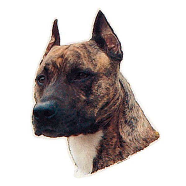 Trixie Köpek Çıkartması,St-Stafford Terrier 1 Adet