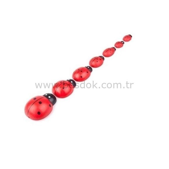 UĞUR BÖCEĞİ 7 Lİ KÜÇÜK BOY