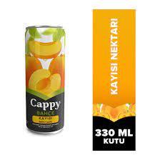 Cappy Kayısı Kutu 330Ml