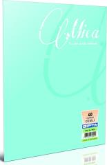 Gıpta Defter A5 Mıca Pp 60Yp. Kar. 1712