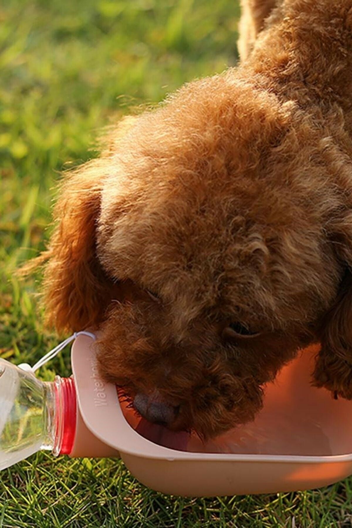 Evcil Hayvan Plastik Yıkanabilir Taşınabilir Su Şişesi Bağlantılı Su Kabı NN9459