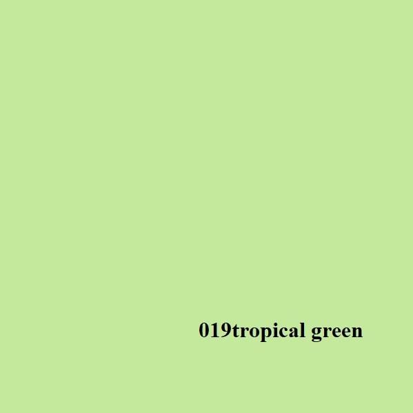 Grace Stüdyo Kağıt Fon 2 72 m x 11m - Tropical Green 019