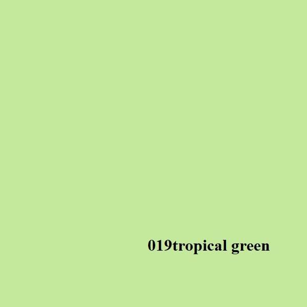 Grace Stüdyo Kağıt Fon 2 72 m x 11m - Tropical Green 019 Grace Stüdyo Kağıt Fon 2 72 m x 11m - Tropical Green 019