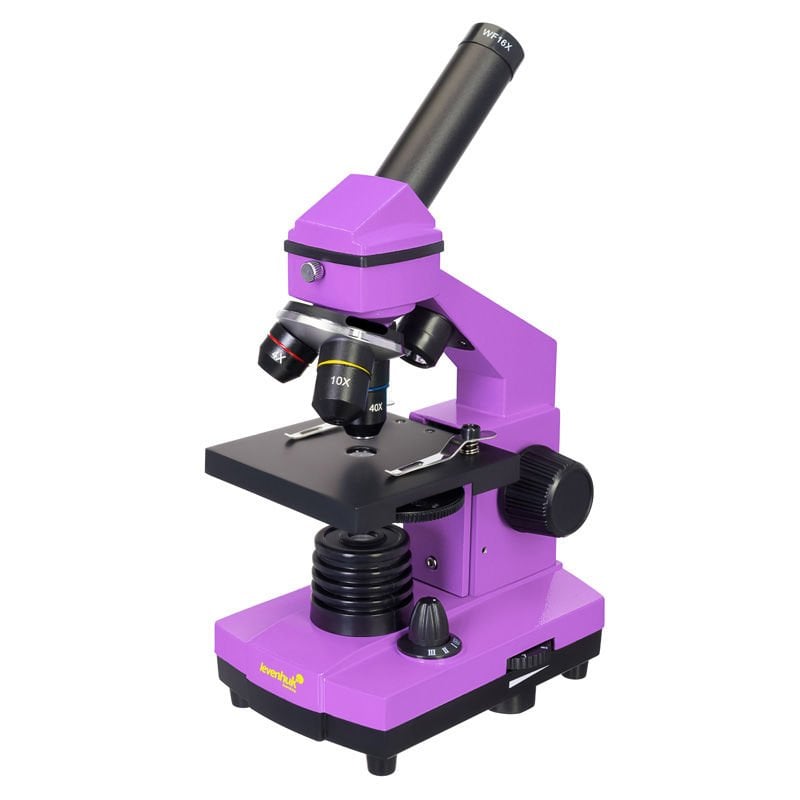 Levenhuk Rainbow 2L PLUS Mor Mikroskop