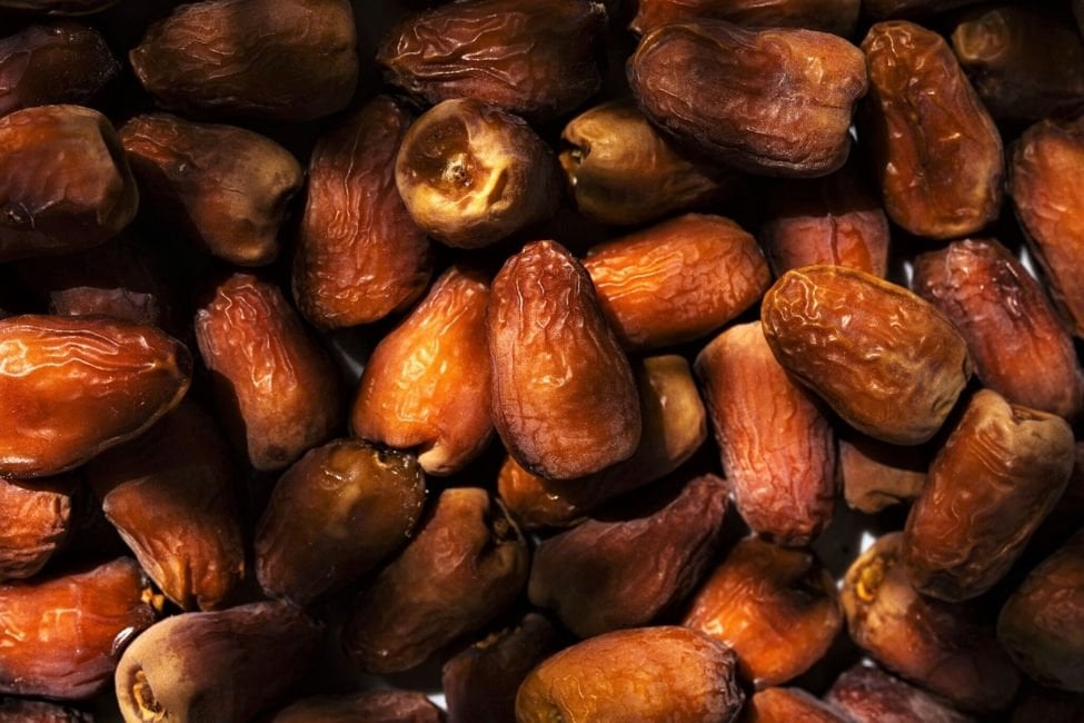 The species was gone! The 2,000-year-old date tree gave fruit!