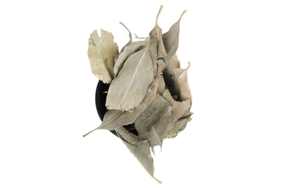 How to prepare eucalyptus leaf tea, what are its benefits?