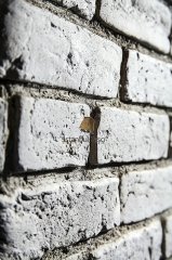 Açık Gri Antik Kaplama Tuğla