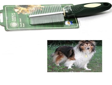 Buyuk Irk Kopek Gezdirme Kayisi Yesil Pet Shop Urunleri
