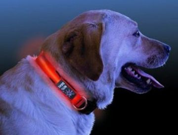 Kopek Gezdirme Tasmasi Makarali 3 Mt 5 Mt Pet Shop Urunleri