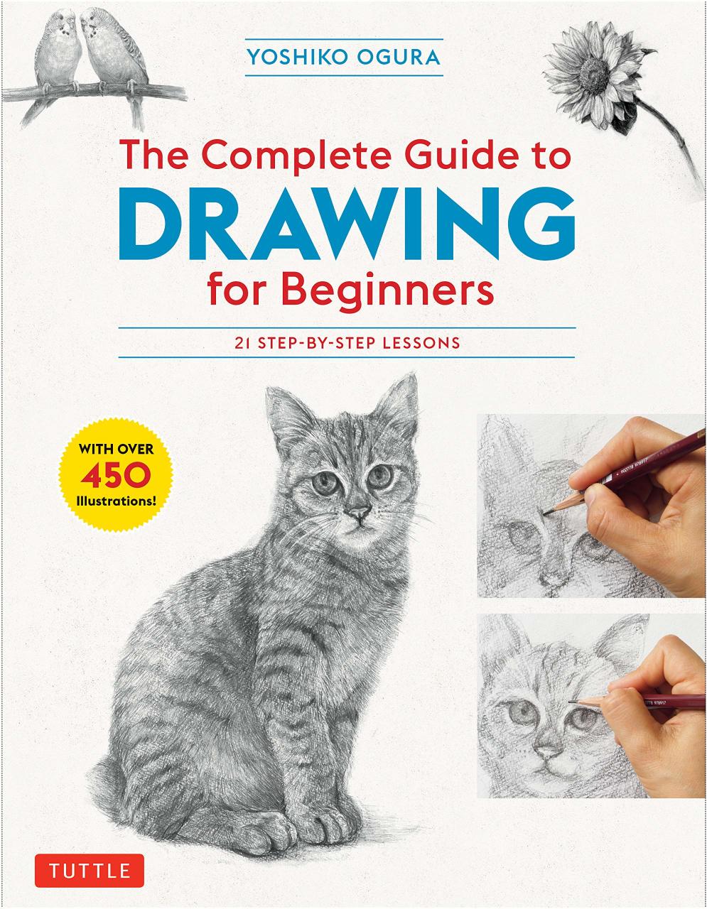 The Complete Guide to Drawing for Beginners 21 StepByStep Lessons