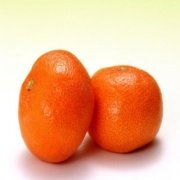 Hizli Gonderim Tuplu Seker Orani Yuksek Fremont Mandalina Fidani
