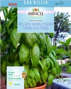 Tatlı Geniş Yapraklı Fesleğen Tohumu (500 gram)