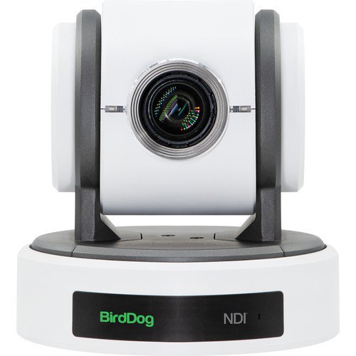 BirdDog Eyes P100 1080p Full NDI PTZ Kamera (White)
