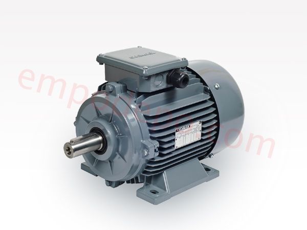 Çift yönlü elektrik motoru Çift yönlü elektrik motoru