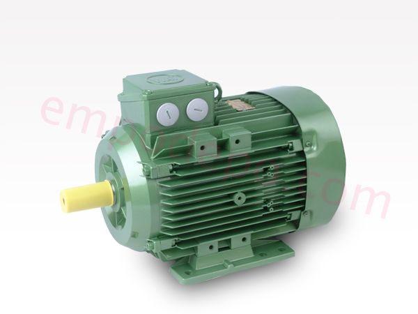 Wat Arcelik 2 2 Kw 3000 D D Trifaze Asenkron Elektrik Motorlari