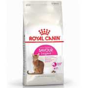 royal canin kedi mamasi cesitleri ve