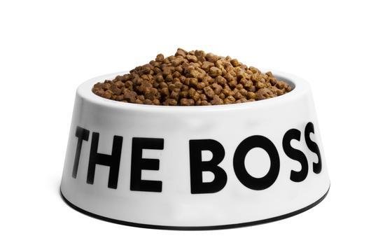 Zee Dog The Boss Melamin Kopek Mama Kabi Petza