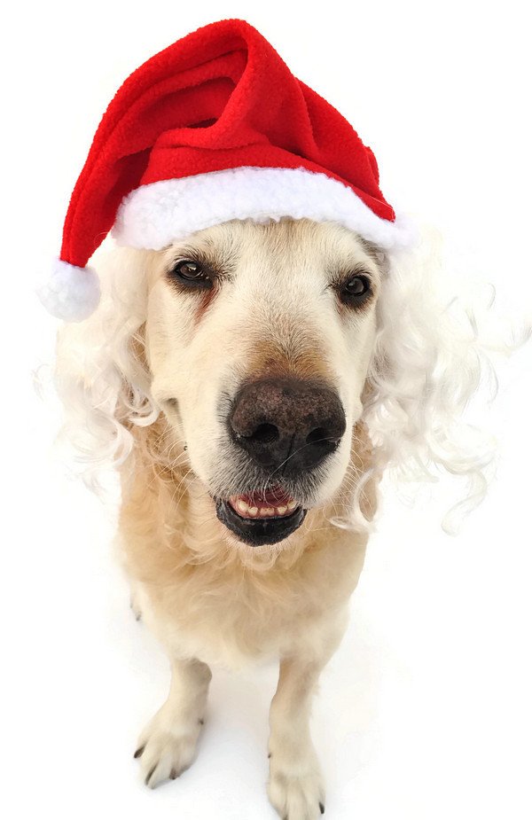 Sacli Noel Baba Sapkasi Petza