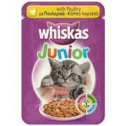 Whiskas Kedi Mamasi Ve Kopek Mamasi Petza