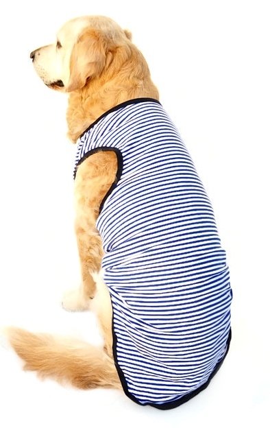 Kopek Buyuk Irk T Shirt Banba Mavi Petza