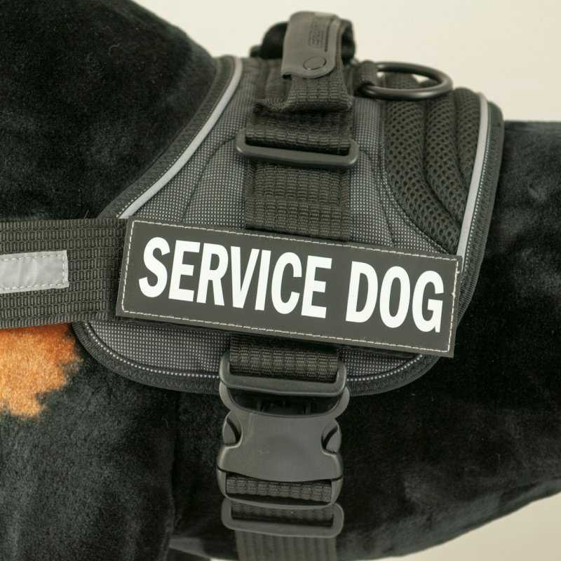 Ezydog Patch Gogus Tasmasi Yan Etiketleri Security Petza
