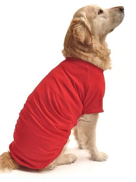Kopek Buyuk Irk T Shirt Pompeii Petza