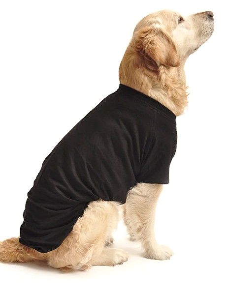 Kopek Buyuk Irk T Shirt Umber Petza