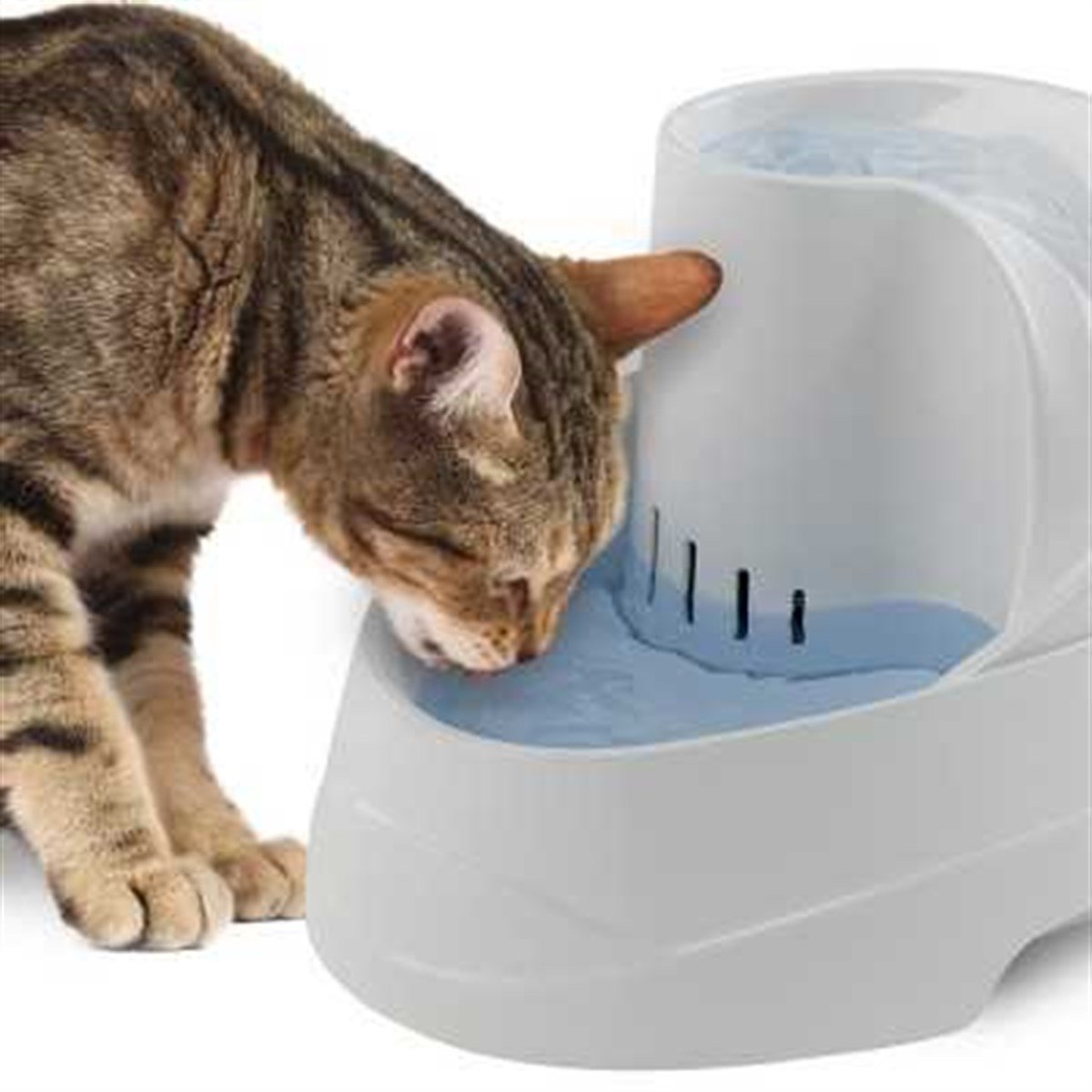 ferplast vega selale otomatik kedi su kabı