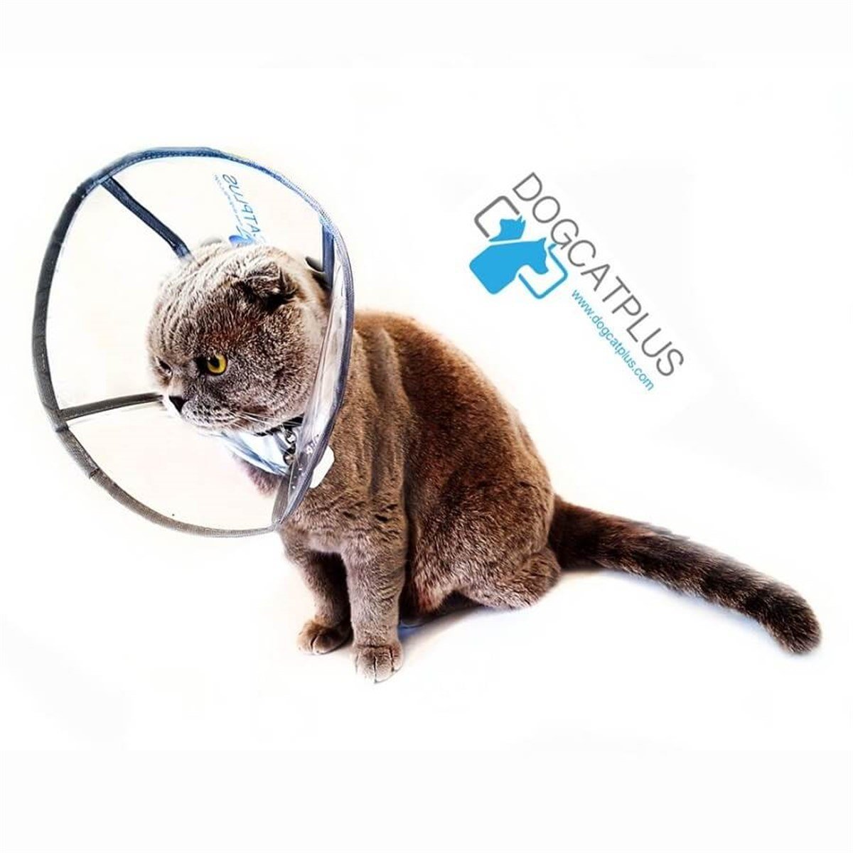 dogcatplus elizabeth seffaf yakalik small petza