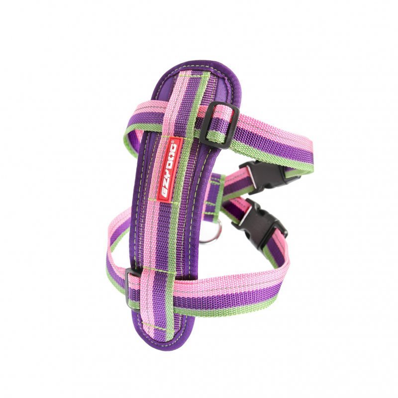 Ezydog Kopek Gogus Tasmasi Chest Plate X Small Bubble Gum Petza