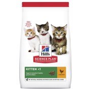Yavru Kedi Mamasi Cesitleri Ve Fiyatlari Petza