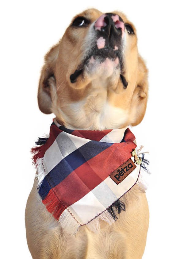 Kopek Bandana Pakuna Petza