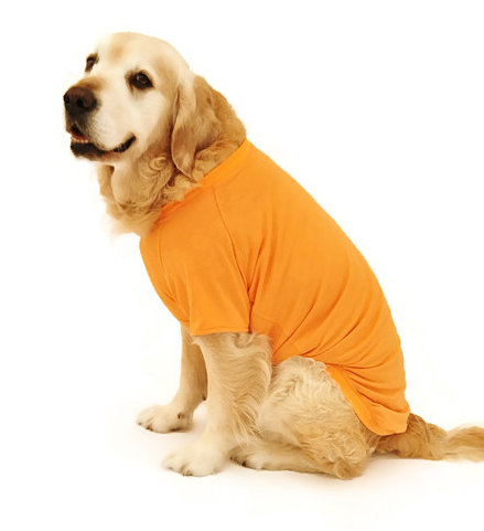 Kopek Buyuk Irk T Shirt Vega Petza