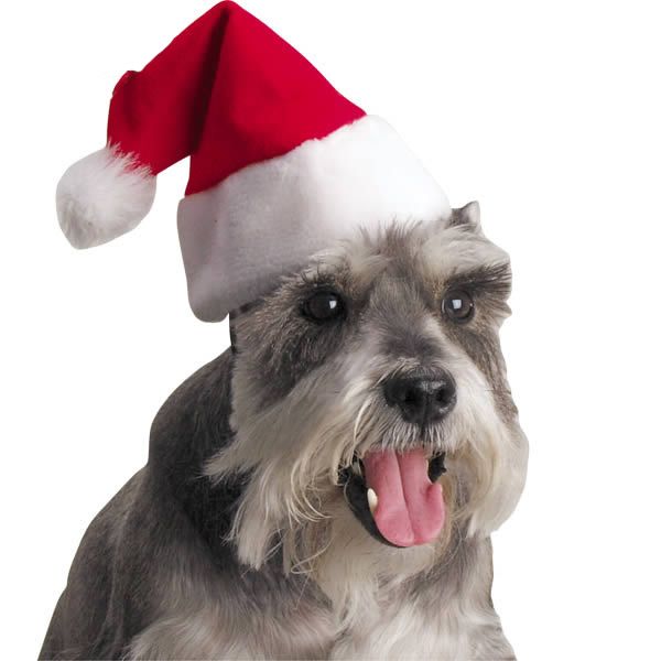 Santa Hat Noel Baba Sapkasi Petza